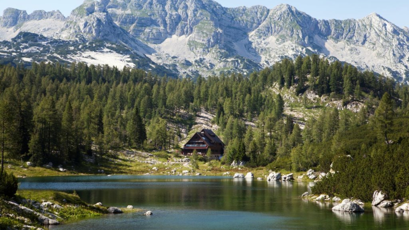 koca_sedmera_poleti_02 (1)