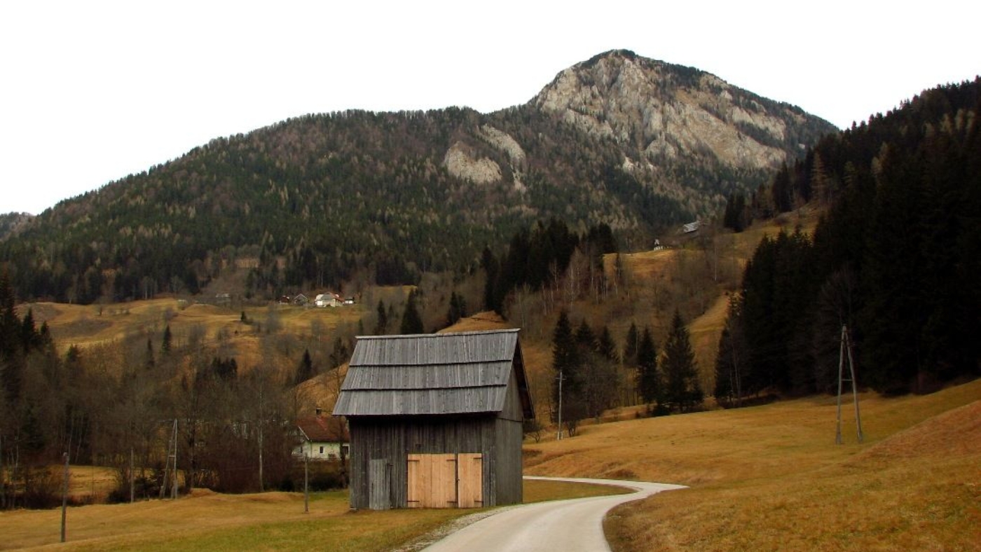 pecovnik_3