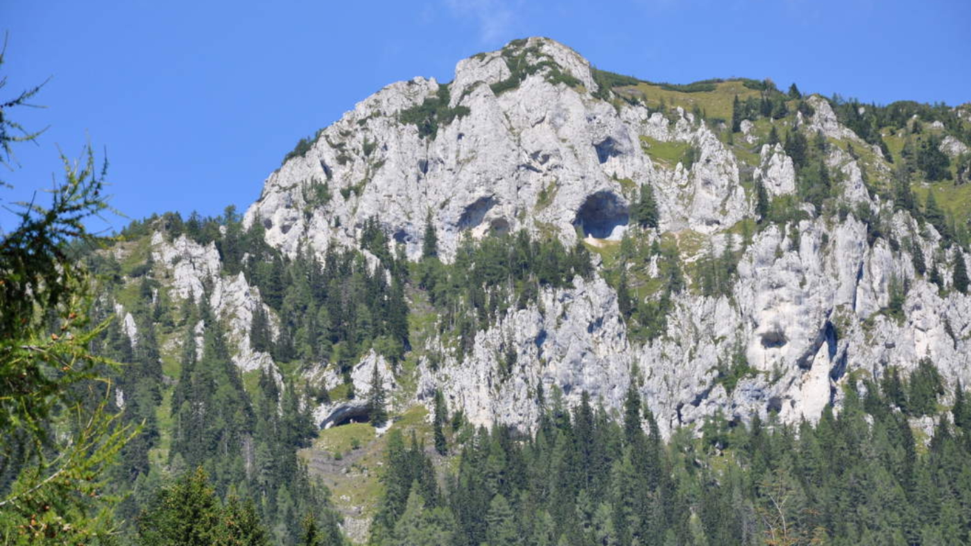 DSC_3040_olseva_obel_kamen_big