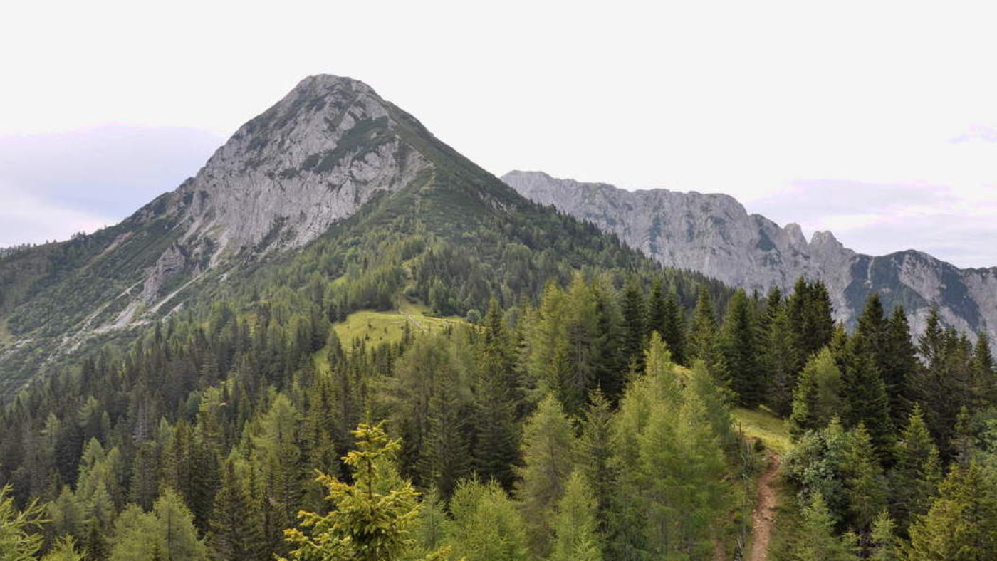 DSC_8338_pot_koca_na_ljubelju_kosutica_big